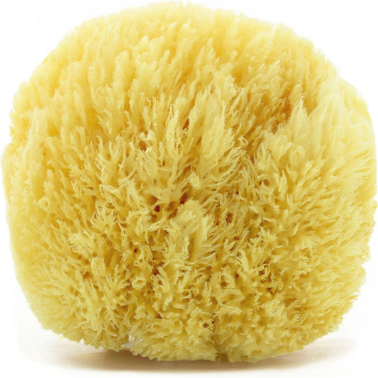 Ein einzelner, gelber Meerschwamm, der seine weiche und poröse Textur zeigt. Der natürliche Schwamm ist ideal für die sanfte Reinigung der Haut.
