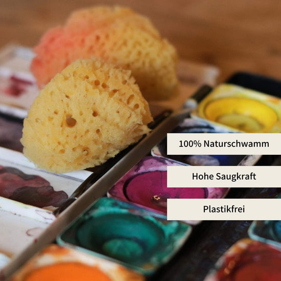Naturschwamm auf Wasserfarbkasten – idealer Malschwamm mit hoher Saugkraft, 100 % naturbelassen und plastikfrei