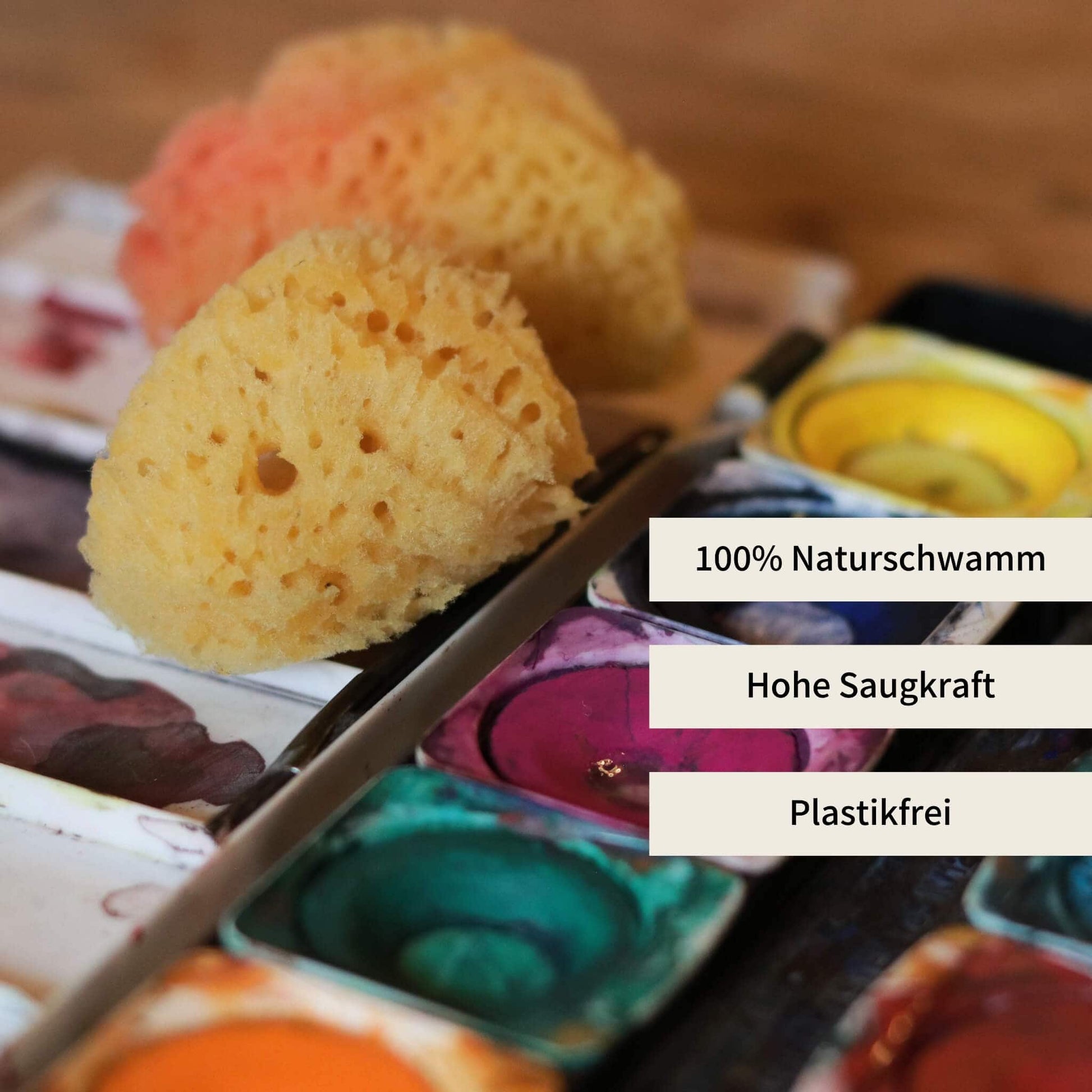 Naturschwamm auf Wasserfarbkasten – idealer Malschwamm mit hoher Saugkraft, 100 % naturbelassen und plastikfrei