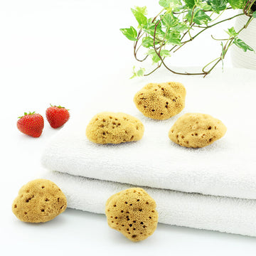 Fünf kleine Naturschwämme auf weißem Handtuch, ideal als Menstruationsschwämme – mit Erdbeeren und Pflanze dekorativ inszeniert