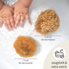 Zwei unterschiedlich große Naturschwämme im Wasser – einer für das Babygesicht (7–8 cm), einer für den Babykörper (9–10 cm), daneben Babyhände.