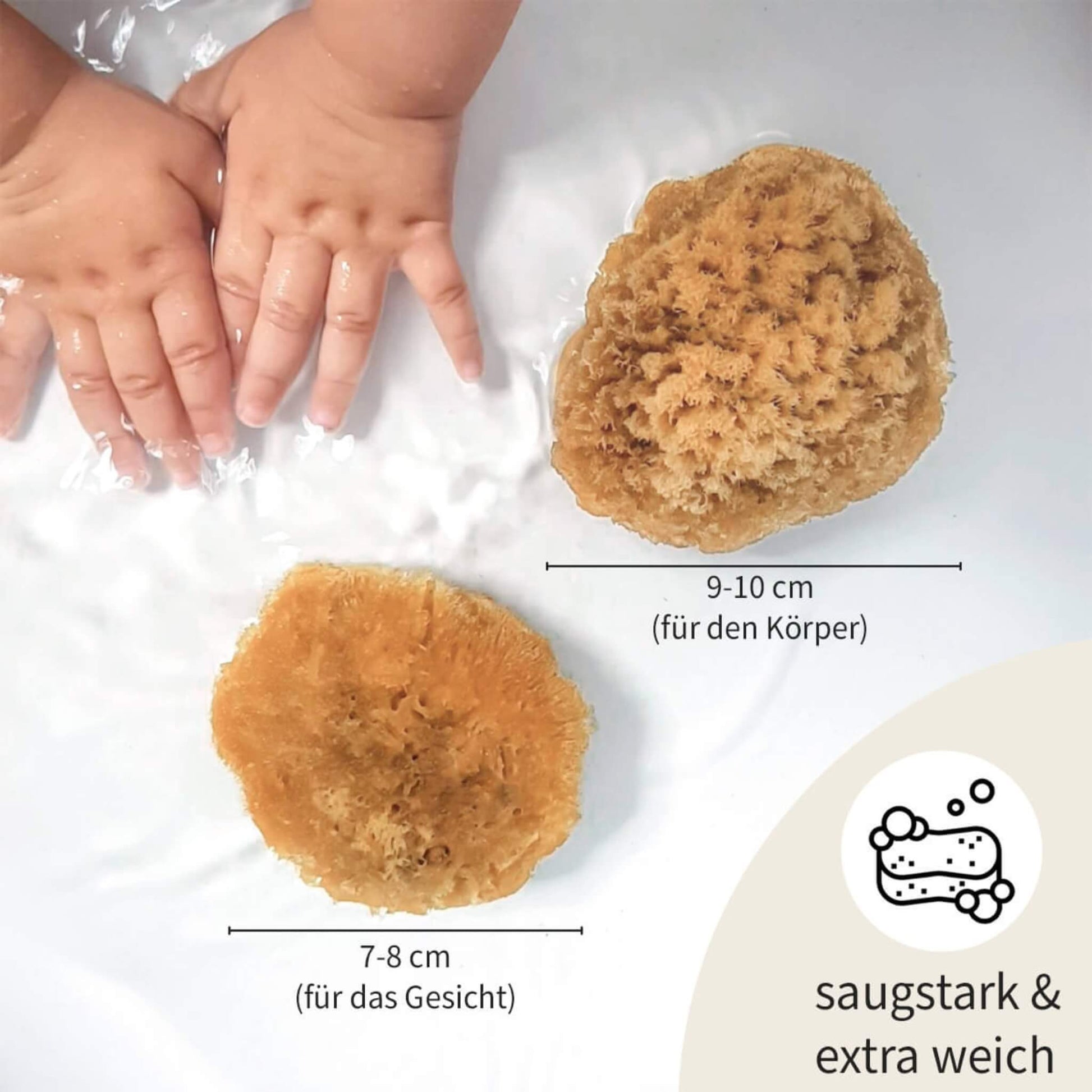 Zwei unterschiedlich große Naturschwämme im Wasser – einer für das Babygesicht (7–8 cm), einer für den Babykörper (9–10 cm), daneben Babyhände.