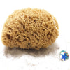 Naturschwamm mit Kordel und Glasanhaenger auf hellem Sand – naturbelassen und vielseitig einsetzbar