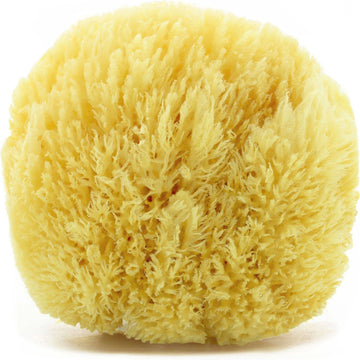 Großaufnahme eines natürlichen Naturschwamms mit feiner Grasstruktur für sanfte Hautreinigung