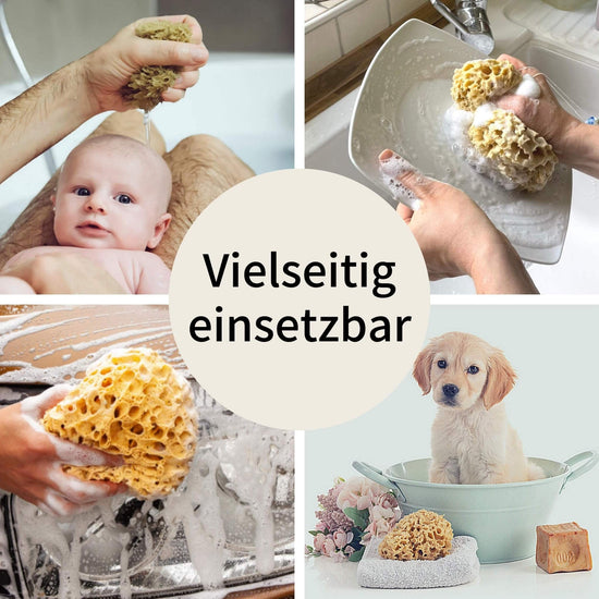 Naturschwamm im vielseitigen Einsatz: zur Babypflege, zum Geschirrspülen, zur Autopflege und zur Hundereinigung